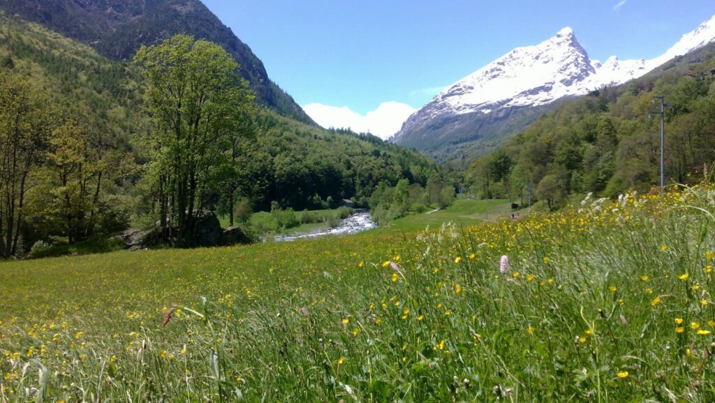 Domenica 26 Aprile 2026 545388108 24563032316642787 7134884800505072552 n.jpg